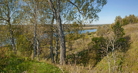 Panorama of summer forest, river and sky.