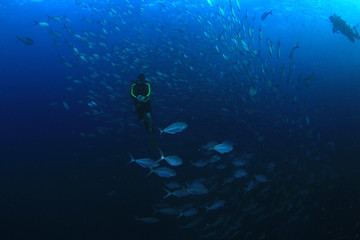 Scuba divers, fish and coral reef underwater 