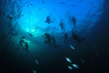 Obraz na płótnie Canvas Scuba divers, fish and coral reef underwater 