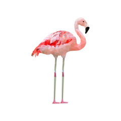 Pink flamingoin low poly style. The exotic pink bird. Vector illustration.