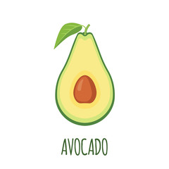 Half of Avocado in flat style on white background.