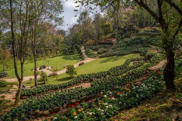 Botanical gardens of Doi Tung wide angle landscape view