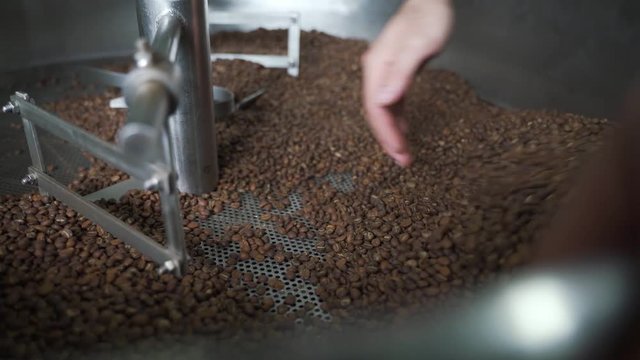 Hand picking bad roasted coffee beans from roasting machine