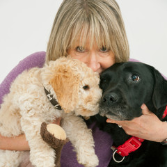 Middle aged 50's lady dog owner cuddles a worried looking elderly black labrador and a cute new 12 week old Cockapoo puppy bitch on a white background