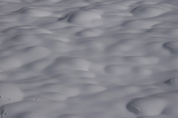 なだらかに起伏した雪面