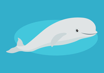 Cute beluga whale icon, funny white Arctic cetacean, isolated on blue background, marine mammal, vector illustration