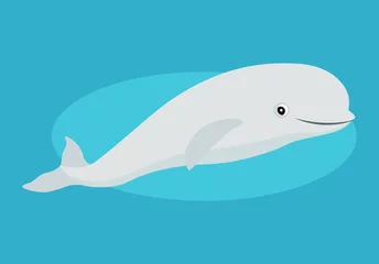 Store enrouleur Baleine Cute beluga whale icon, funny white Arctic cetacean, isolated on blue background, marine mammal, vector illustration