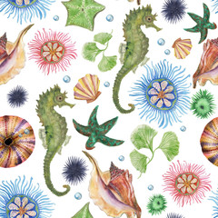 Watercolor painting seamless pattern with seahorse and flowers, corals, shells, seaweed, starfish © ramiia