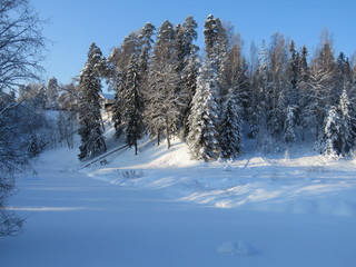 зима, снег, природа, солнечны день, мороз, деревья, ели, замерзшая река