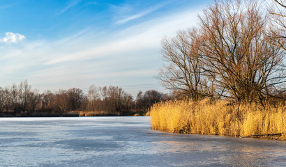 Naklejka na ściany i meble A frozen lake. Przylasek Rusiecki. Poland