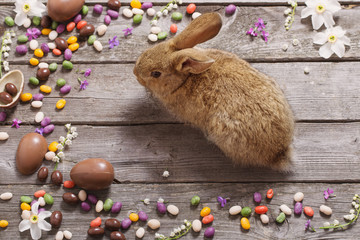 Fototapeta premium Easter rabbit with chocolate eggs on old wooden background