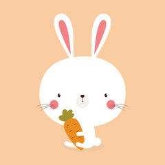 cute bunny rabbit