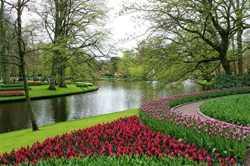 Obraz premium Keukenhof, Netherlands. Beautiful view of the most famous Dutch botanical garden