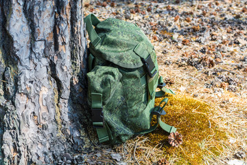 Green hiking backpack lies to right of an old tree on edge of moss in pine summer forest.