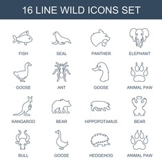 16 wild icons