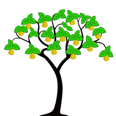 The pear tree with leaves