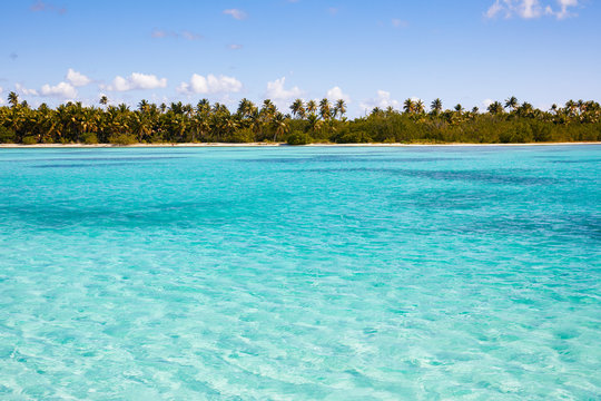Leerer Traumstrand auf Saona von der dominkanischen republik