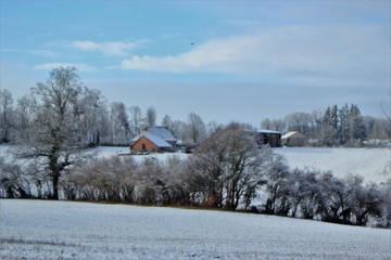 paysage en hiver.