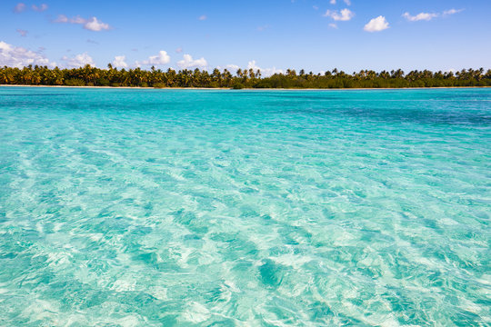 Leerer Traumstrand auf Saona von der dominkanischen republik