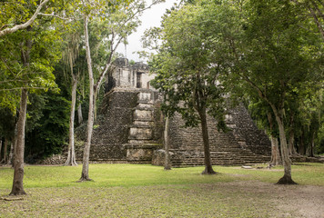 Mayan temple in the rain forest of the Yucatan Peninsula of Mexico.