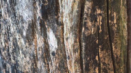 Obraz premium Surface of wood dark colors and old with beautiful natural patterns. Concept Background/Textures.