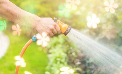 Watering green garden with outdoor hose