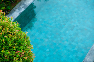 Pool top view background