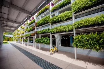 Selbstklebende Fototapeten Green plants on the walls in Singapore © Smeilov