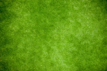 Foto op Canvas Groen gras, gazon bovenaanzicht © Smeilov