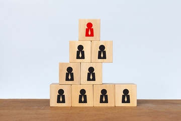 Wooden cube stacking as a pyramid with human icon on white background. Concept of human resources management and recruitment business