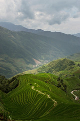 Sunrise Rice Terraces Paddy fields Longsheng China