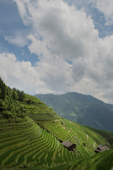 Rice Terraces Paddy and cottages Longsheng China