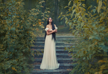 A princess with sexually bare shoulders enjoys a moment of silence and loneliness. Black long hair,...