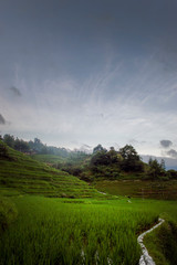 Landscape of Rice Terraces Paddy Longsheng China