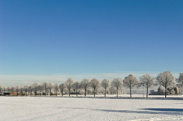 Winter am Niederrhein