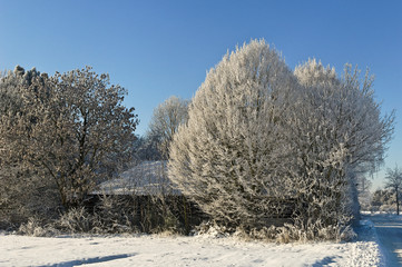Winter am Niederrhein