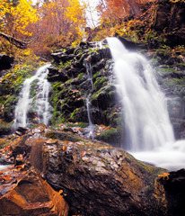 Fototapeta na wymiar waterfall at the autumn forest
