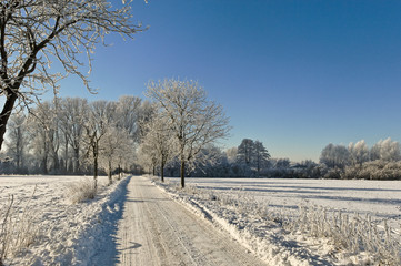 Winter am Niederrhein
