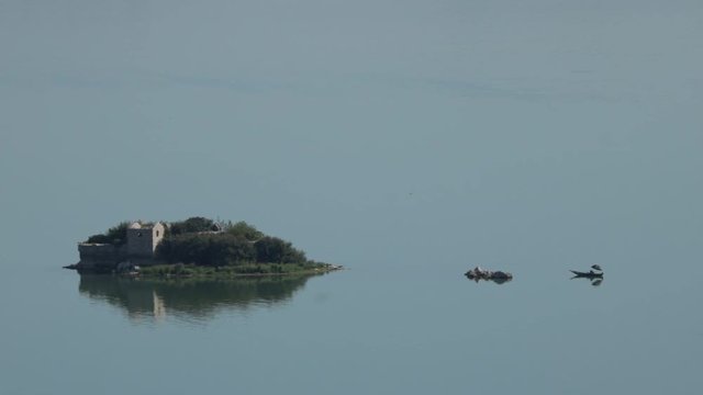 Shkod&euml;r lake montenegro