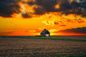 One rural barn in the middle of field landscape on the sunset and the stormy sky background. - Powered by Adobe