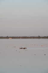 marais