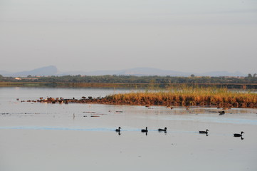 marais