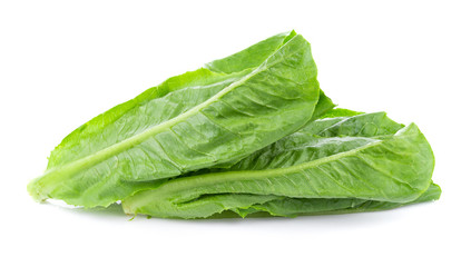 fresh cos lettuce isolated on white background