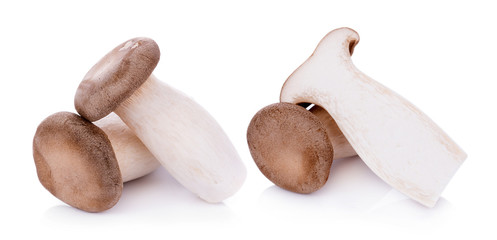 King oyster mushroom Pleurotus eryngii on white background