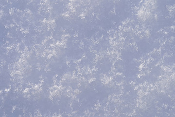 Fresh white snowflakes close up. The view from the top