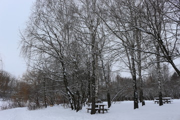 Fototapeta premium A lakeside park stands covered in snow in winter