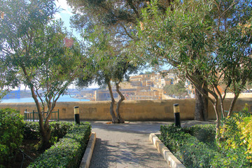 Fototapeta na wymiar public garden of the island of Malta overlooking the city of Valletta.