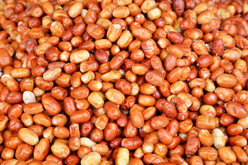 eleagnus and background