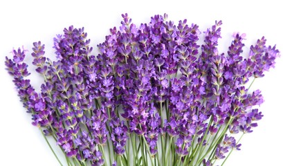 Obraz premium Lawenda.