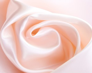 pink rose 